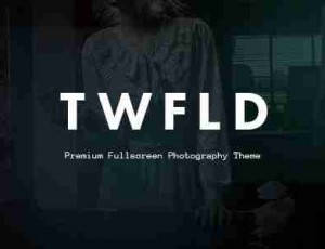 TwoFold Photography v3.1.8.1-全屏摄影WordPress主题