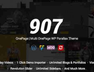 907 v5.1.4 -响应一页WordPress主题