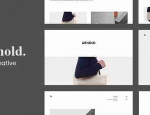 Arnold v2.1.0- -Minimal Portfolio WordPress主题