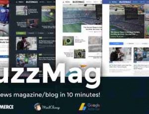 BuzzMag v1.0 -新闻WordPress杂志/博客主题