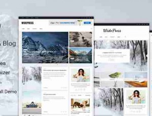 Wide v1.0.1 – 杂志和博客WordPress主题