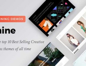 Oshine v7.0.2- 创意多用途WordPress主题