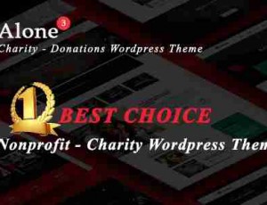alone v7.0—慈善多用途非营利WordPress主题