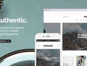 Authentic v7.0.2博客＆杂志WordPress主题