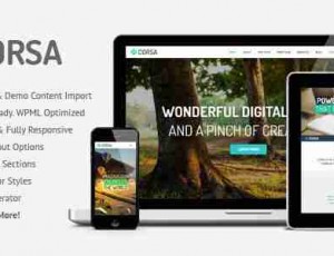 corsav1.8.7—视网膜反应创意主题