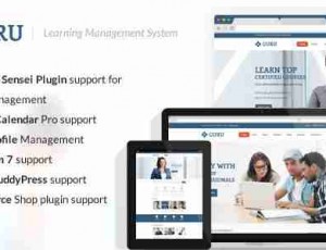 Guru v3.3 -学习管理WordPress主题