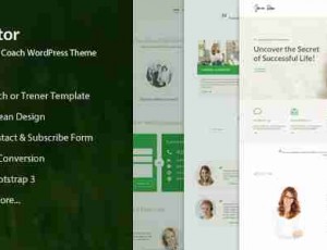 mentor v2.2.2-教练—个人发展的主题