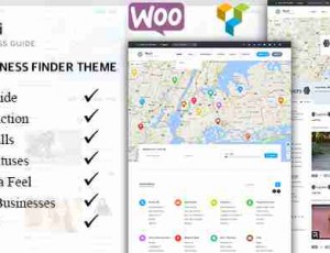WYZI v2.4.2—社会企业搜索目录WordPress主题