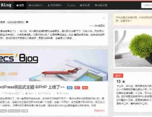 WordPress 响应式主题 – 9IPHP