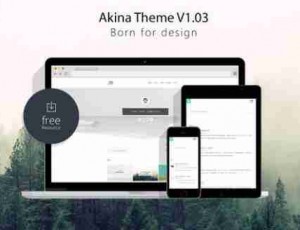Akina-极简自适应博客主题1.0.6