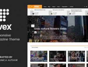 Avex v1.0.9——WordPress杂志的主题