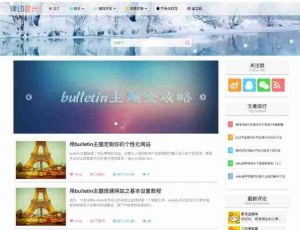 WordPress博客时尚Bulletin主题