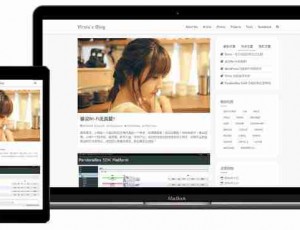 Snape – 极简主义的响应式主题