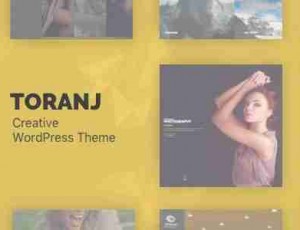 Toranj v1.21.0响应的创意WordPress主题
