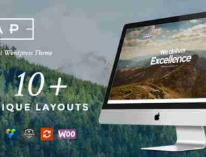 ZAP v1.4.0 – 创意＆多概念WordPress主题