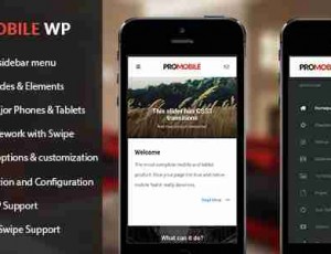 ProMobile – 手机和平板电脑响应WordPress主题