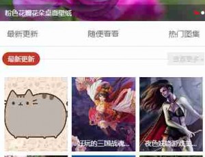 wordpress图片站主题KuImg-MIP