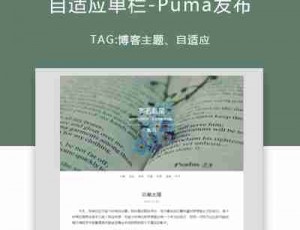 WordPress 自适应主题 Puma发布