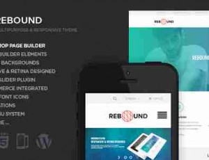 Rebound v2.9.6 – 响应多功能视网膜的主题