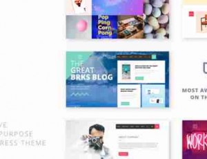 Brooks WP v1.1.4 创意多用途主题