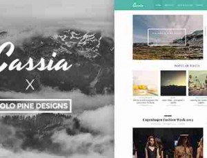 Cassia v1.1 -响应式WordPress博客主题