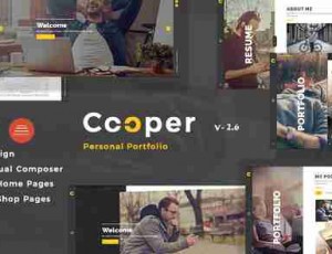 Cooper v4.3- 创意响应个人投资组合WordPress主题