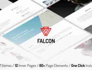 Falcon-清洁和最小的多用途WordPress主题