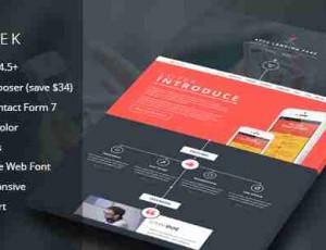 Lotek v2.1 -现代应用程序着陆页WordPress主题