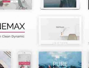 OneMax v1.33 – 响应式多用途WordPress主题