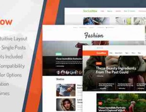 SocialNow v1.2.1- 美丽与现代杂志WordPress主题