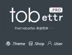 Tobettr国人修改WordPress主题
