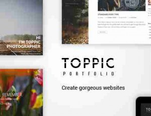 TopPic Photography v2.2-投资组合摄影主题