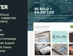 Cluster v2.0.4-大胆的组合WordPress主题