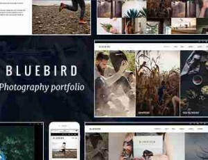 Bluebird v1.5.6 – 专业摄影师的设计