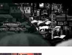 DIASPORA – 素色响应式单栏 WORDPRESS 博客主题