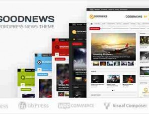 Goodnews v5.9.6- 响应式WordPress新闻/杂志主题