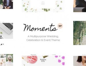 Moments v1.4 – 多功能婚礼，庆典活动