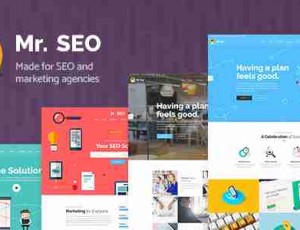 Mr. SEO v1.7 友好的SEO，营销机构主题