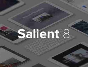 Salient v12.1.3- 响应多用途WordPress主题