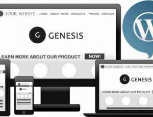 Genesis Framework v3.3.4-WordPress主题