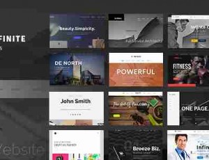 infinite v3.3.3 – 响应式多用途WordPress主题