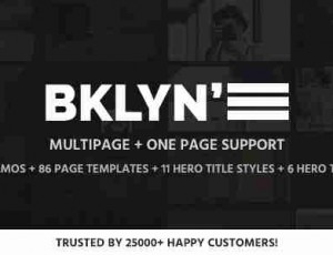 Brooklyn v4.9.6.4 – 创意多用途WordPress主题