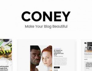 Coney v1.1 – 博客和杂志的时尚主题