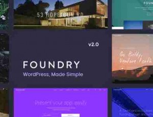 Foundry v2.1.8 – 多用途，多概念WP主题
