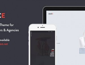 Alice v2.0.4.1 -代理和自由组合主题