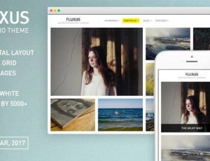 Fluxus v1.4.7 – 摄影师的作品主题