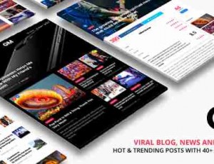 Grand Magazine v1.9 – 新闻博客WordPress主题