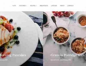 Healey v1.0.1 – 食品与生活博客WordPress主题