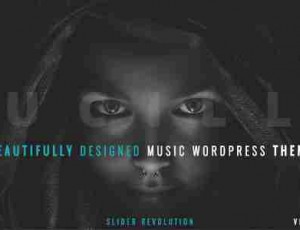 Lucille v2.0.9.4- 音乐WordPress主题