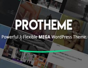 Protheme v1.1.2 -强大而灵活的大型WordPress主题